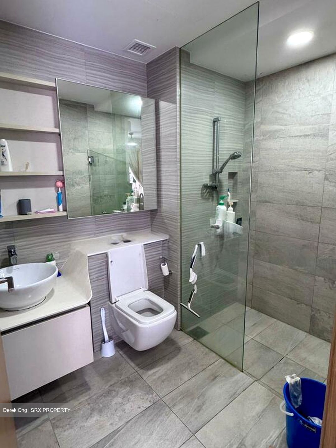 High Park Residences (D28), Apartment #566248661